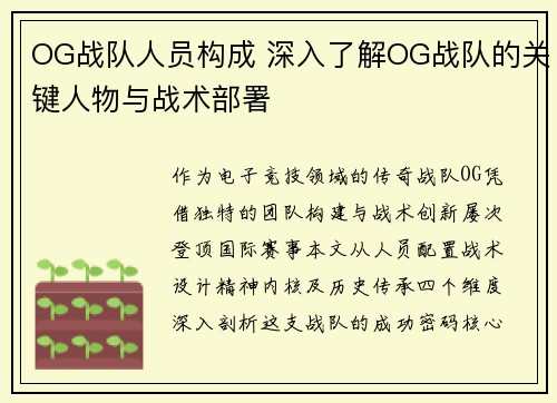 OG战队人员构成 深入了解OG战队的关键人物与战术部署